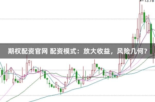 期权配资官网 配资模式：放大收益，风险几何？