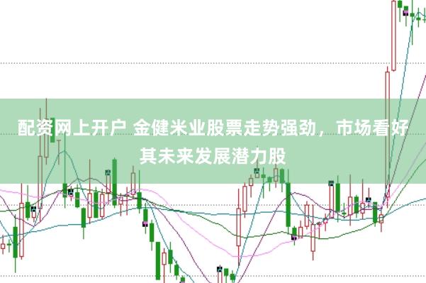 配资网上开户 金健米业股票走势强劲，市场看好其未来发展潜力股