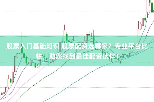 股票入门基础知识 股票配资选哪家？专业平台比较，助您找到最佳配资伙伴！
