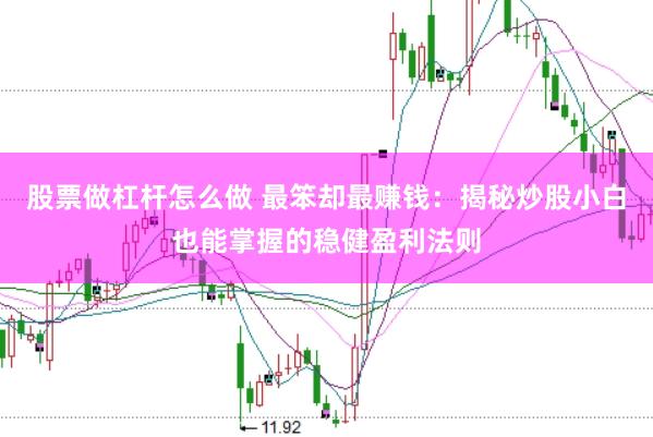 股票做杠杆怎么做 最笨却最赚钱：揭秘炒股小白也能掌握的稳健盈利法则