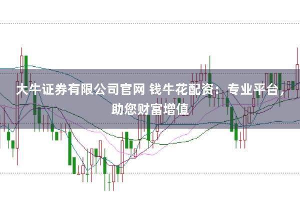 大牛证券有限公司官网 钱牛花配资：专业平台，助您财富增值