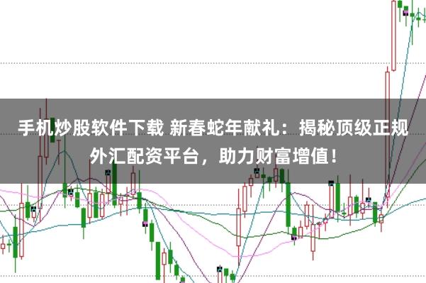 手机炒股软件下载 新春蛇年献礼：揭秘顶级正规外汇配资平台，助力财富增值！