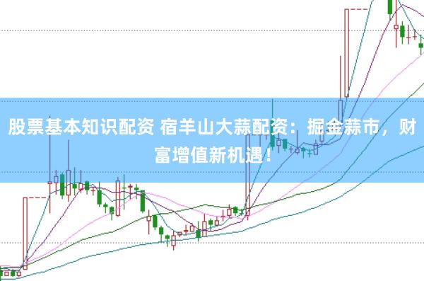股票基本知识配资 宿羊山大蒜配资：掘金蒜市，财富增值新机遇！