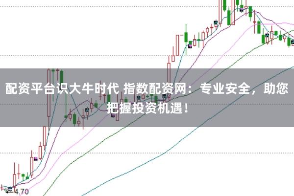 配资平台识大牛时代 指数配资网：专业安全，助您把握投资机遇！