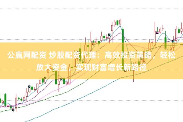 公赢网配资 炒股配资代理：高效投资策略，轻松放大资金，实现财富增长新路径