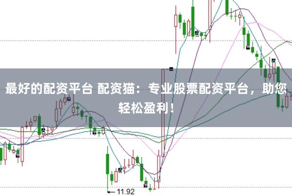 最好的配资平台 配资猫:专业股票配资平台,助您轻松盈利!