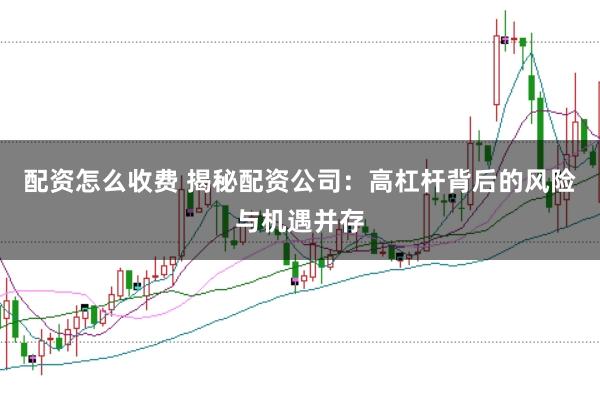 配资怎么收费 揭秘配资公司：高杠杆背后的风险与机遇并存