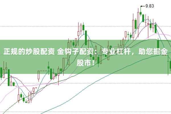 正规的炒股配资 金钩子配资:专业杠杆,助您掘金股市!