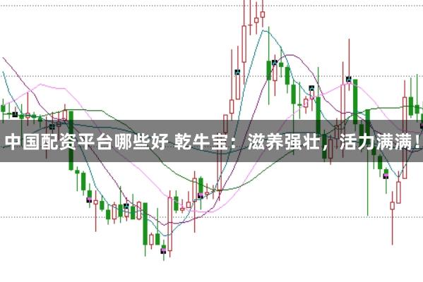 中国配资平台哪些好 乾牛宝：滋养强壮，活力满满！