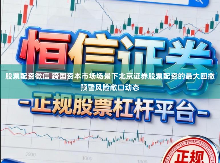 股票配资微信 跨国资本市场场景下北京证券股票配资的最大回撤预警风险敞口动态